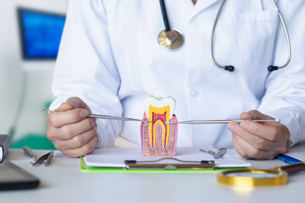 Best Emergency Treatment for Oral Infections in Greenwood, DE